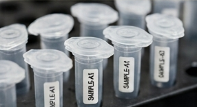 Étiquetage PictoPrint en laboratoire